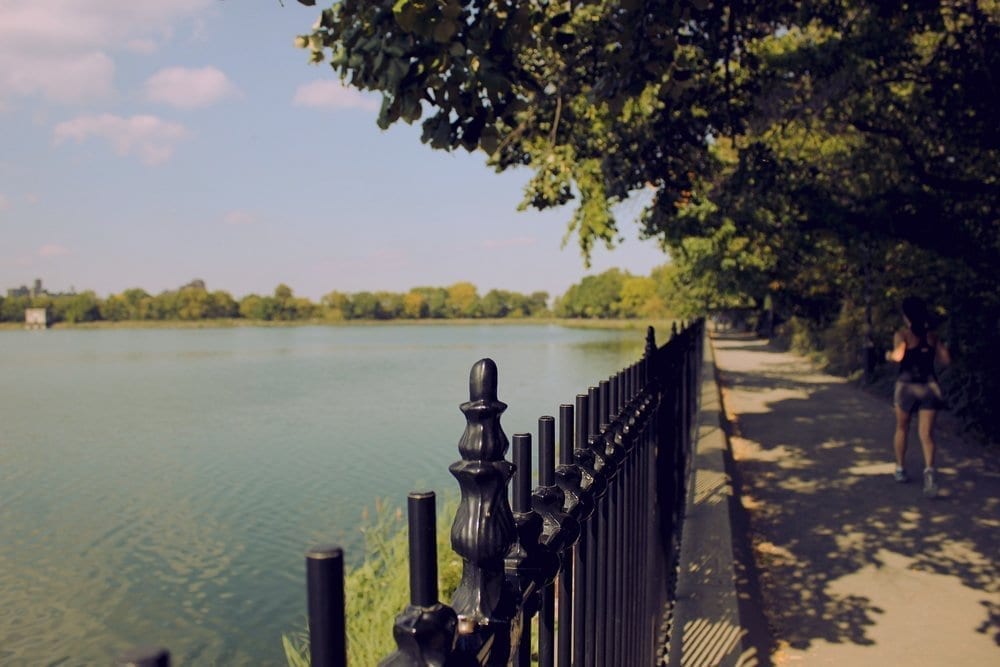 Echo Lake Park wrought iron fence, Mountainside, NJ