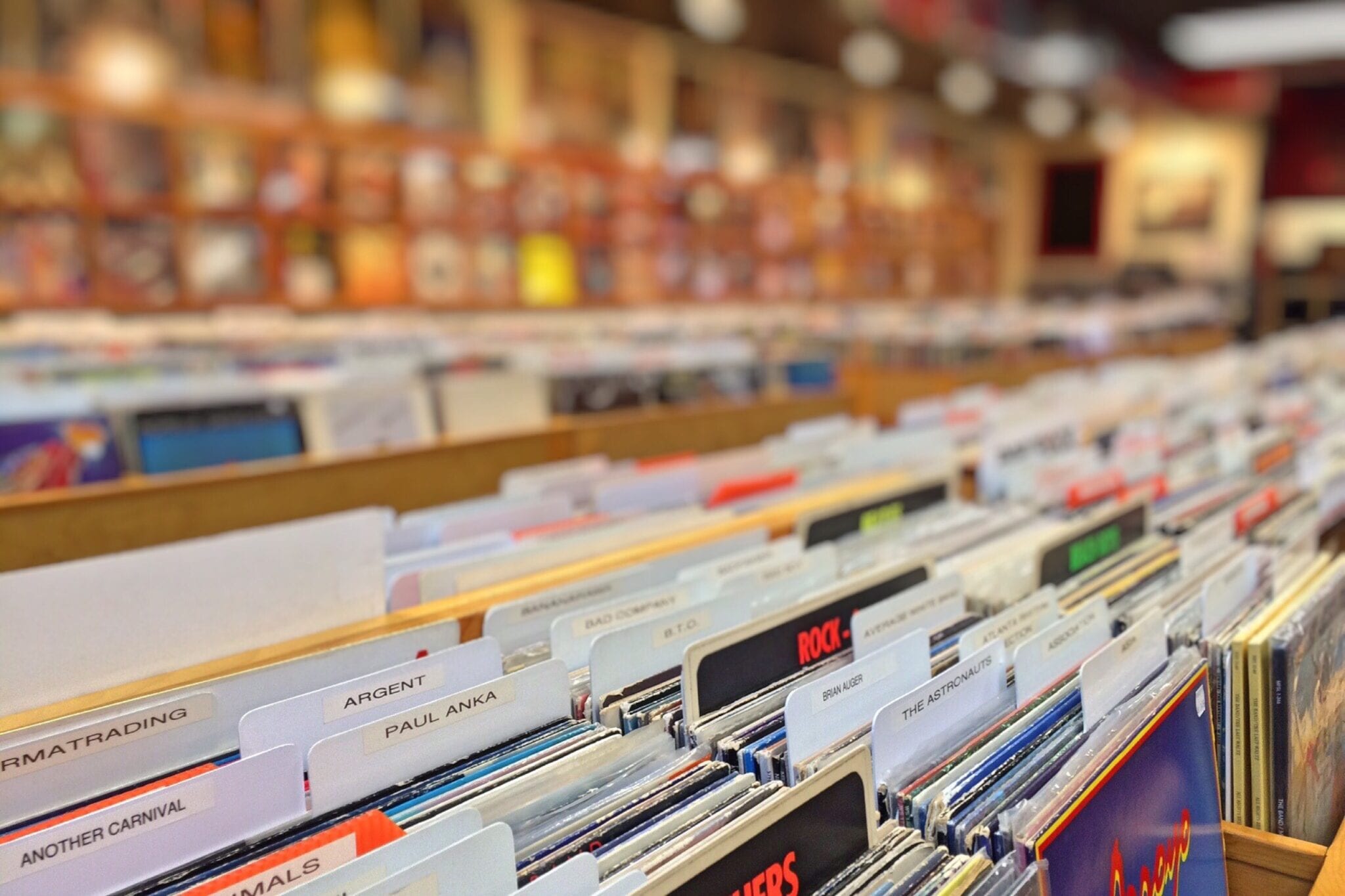Vinyl records displayed in standing boxes at a record shop in Greenpoint, Brooklyn.