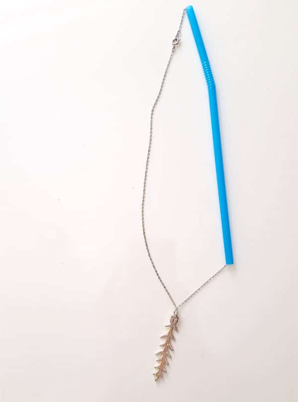 necklace and straw